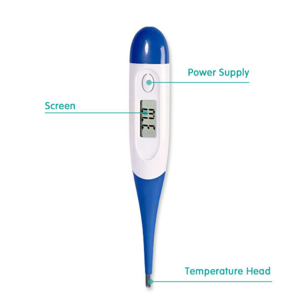 Digital Thermometer Model: RJT-001 - Image 2